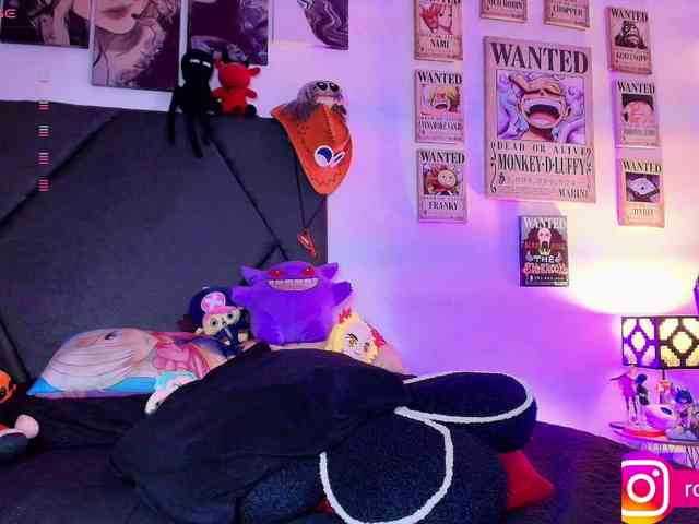 Aryrouse webcam