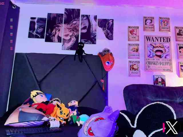 Aryrouse webcam