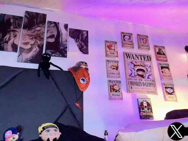 Aryrouse webcam