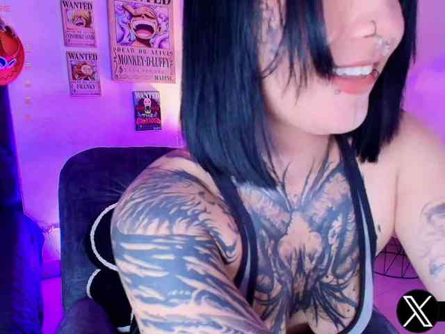 Aryrouse webcam