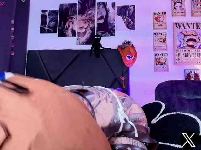 Aryrouse webcam