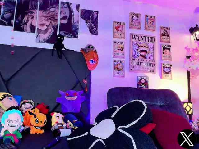 Aryrouse webcam
