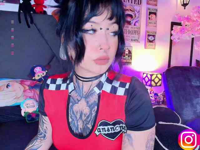 Aryrouse webcam