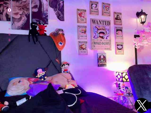 Aryrouse webcam