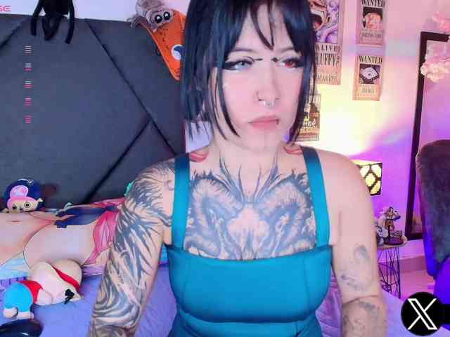 Aryrouse webcam