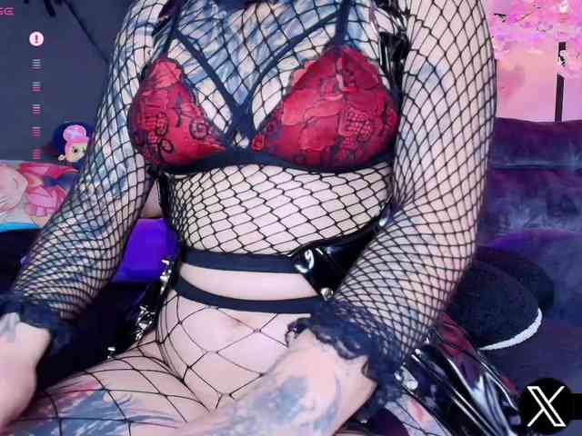 Aryrouse webcam