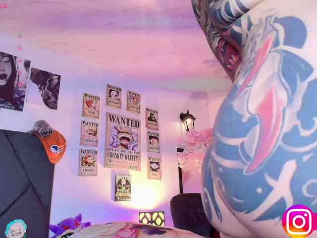 Aryrouse webcam