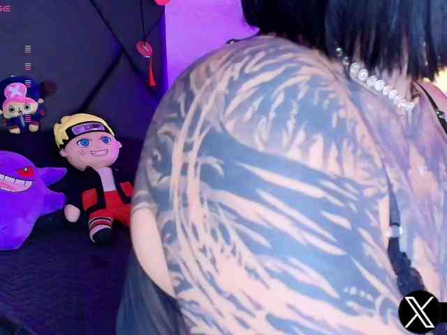 Aryrouse webcam