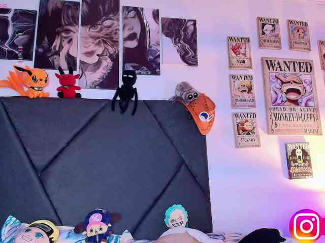 Aryrouse webcam