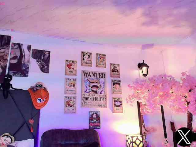 Aryrouse webcam