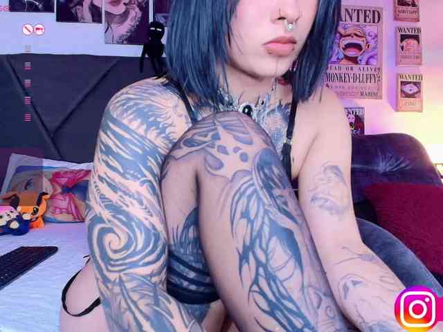 Aryrouse webcam