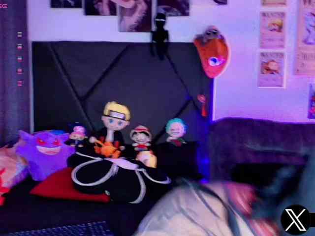 Aryrouse webcam