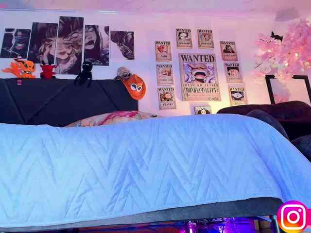Aryrouse webcam