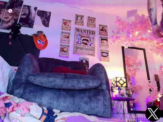 Aryrouse webcam