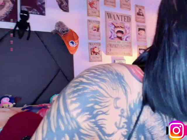 Aryrouse webcam
