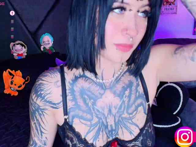 Aryrouse webcam