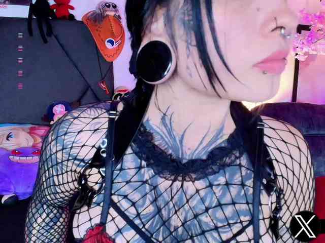Aryrouse webcam