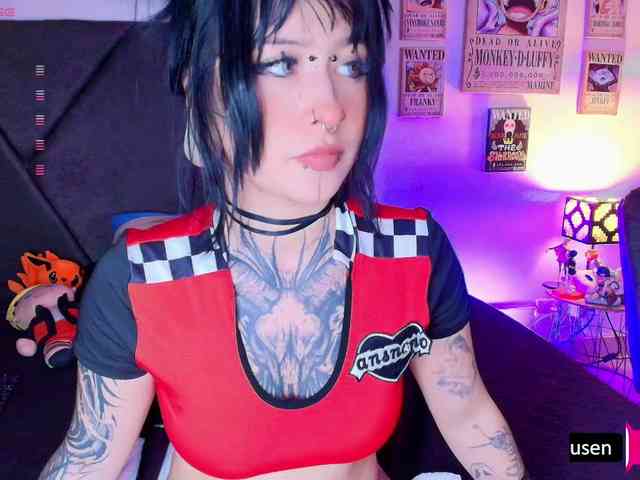 Aryrouse webcam