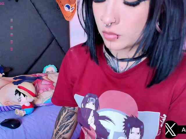 Aryrouse webcam