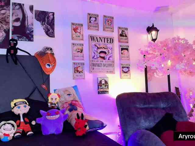 Aryrouse webcam