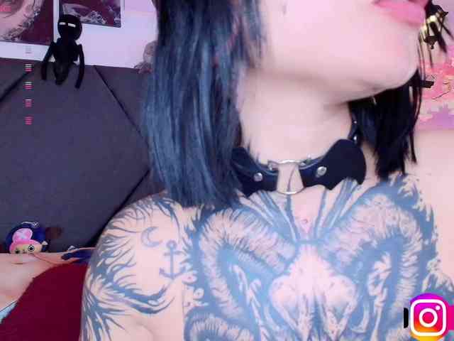 Aryrouse webcam