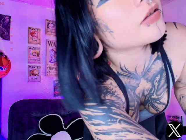 Aryrouse webcam