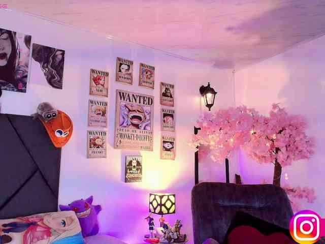Aryrouse webcam