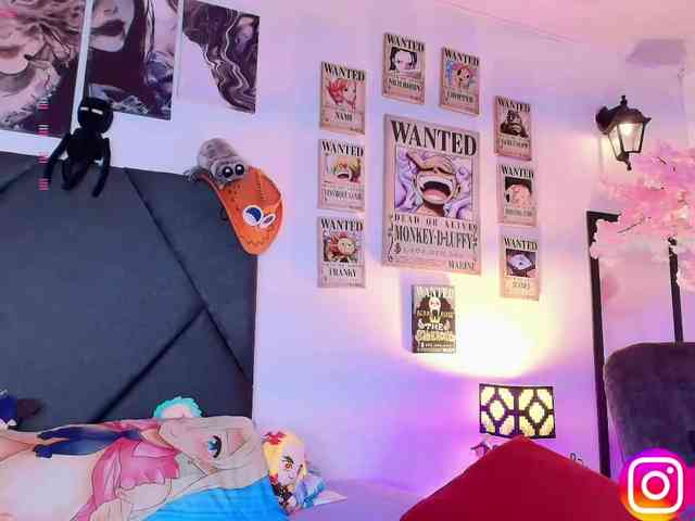 Aryrouse webcam