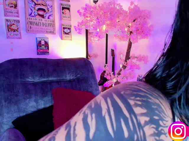Aryrouse webcam