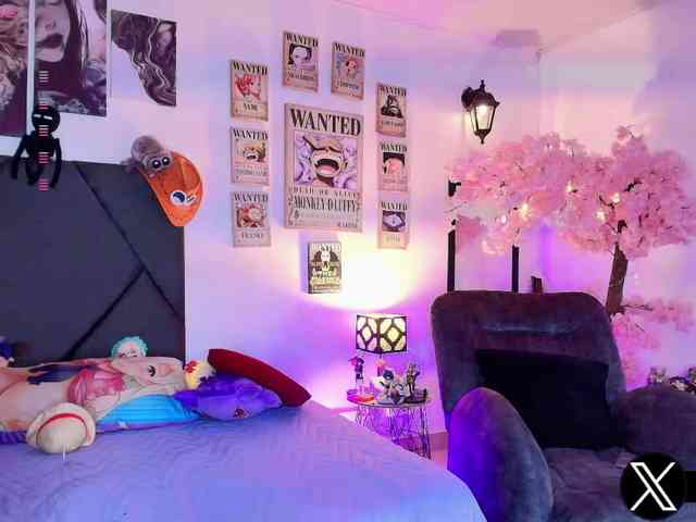 Aryrouse webcam