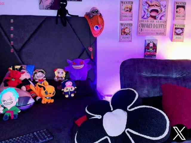 Aryrouse webcam