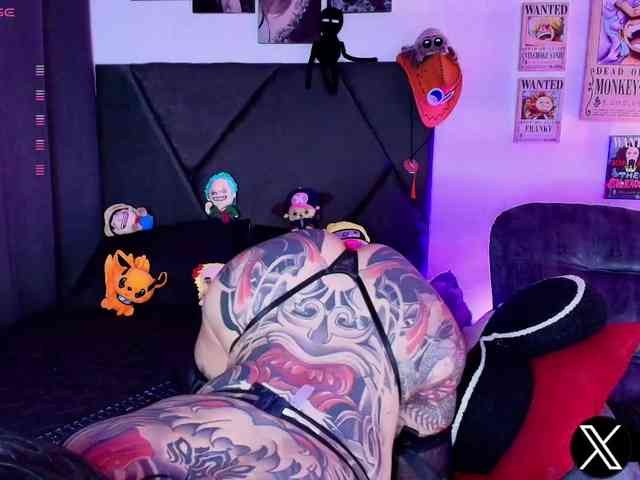 Aryrouse webcam