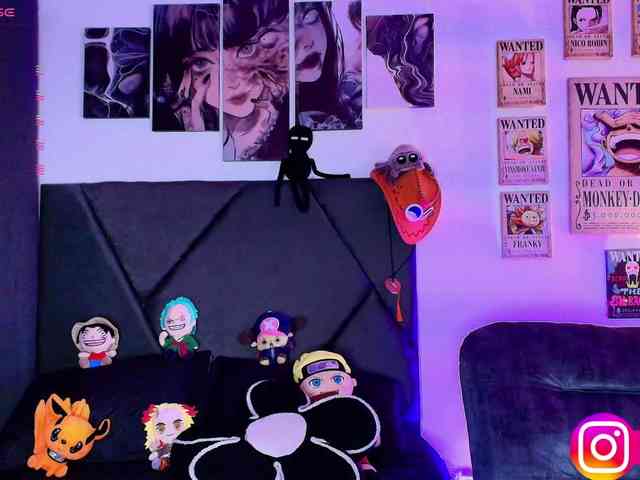 Aryrouse webcam