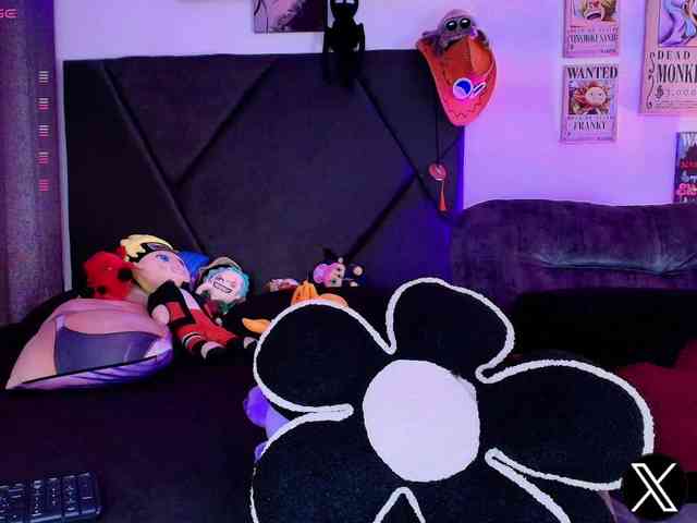 Aryrouse webcam