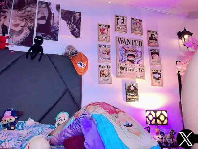 Aryrouse webcam