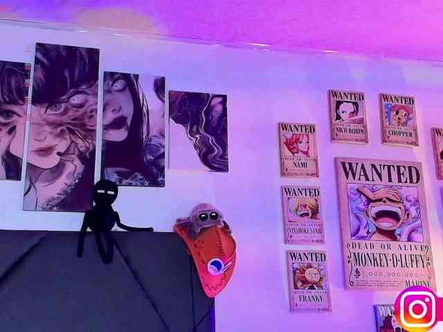 Aryrouse webcam