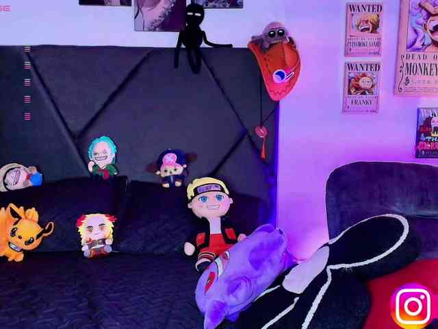 Aryrouse webcam