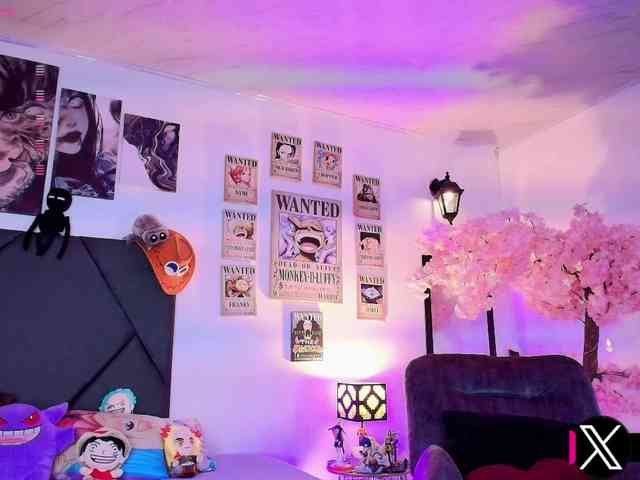 Aryrouse webcam