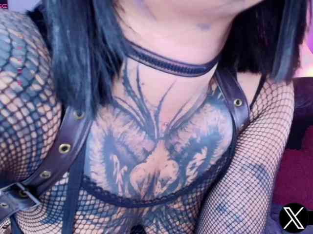 Aryrouse webcam
