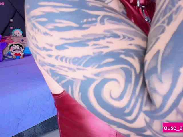 Aryrouse webcam