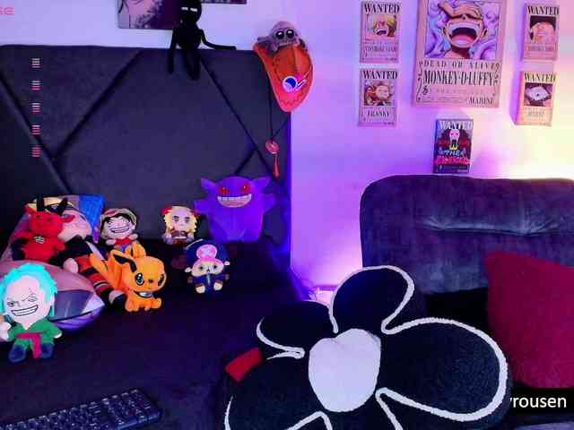 Aryrouse webcam
