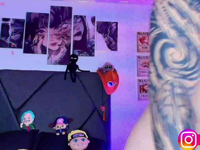 Aryrouse webcam