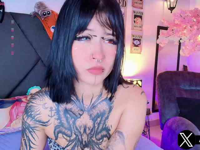 Aryrouse webcam