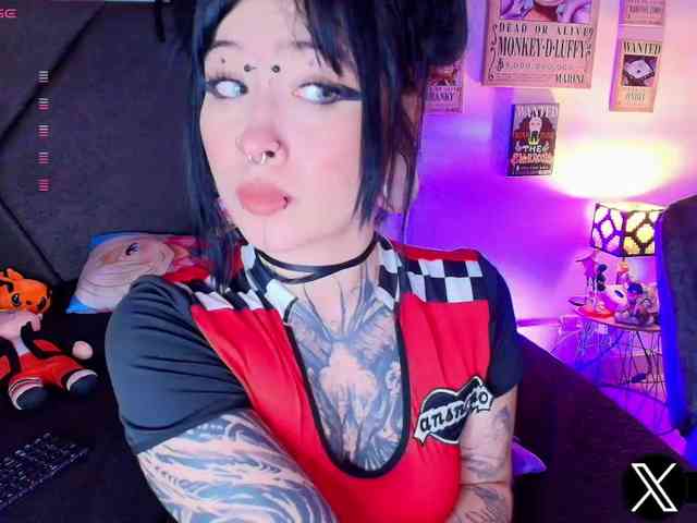 Aryrouse webcam