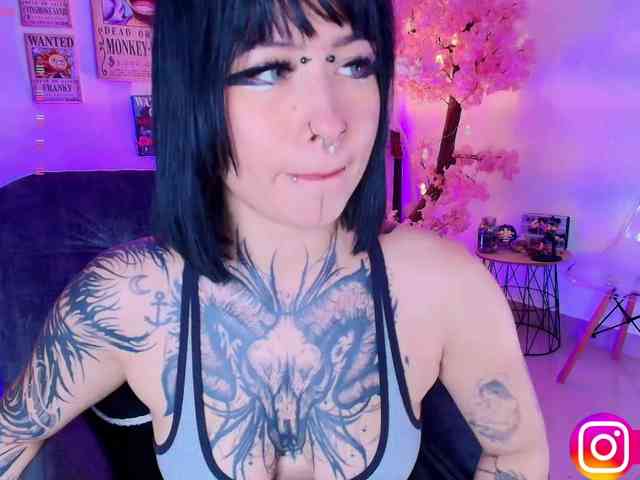 Aryrouse webcam