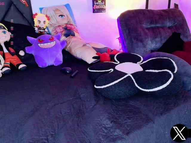 Aryrouse webcam