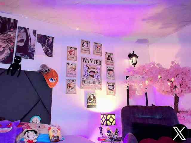 Aryrouse webcam