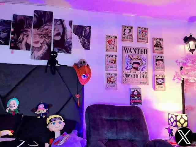 Aryrouse webcam