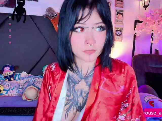 Aryrouse webcam