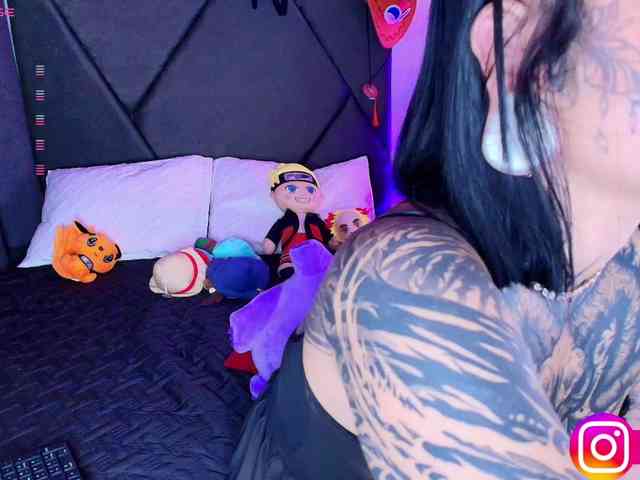 Aryrouse webcam
